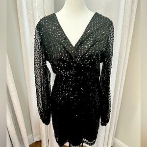 Double Crazy black sequin dress with sheer sleeves. Size M.